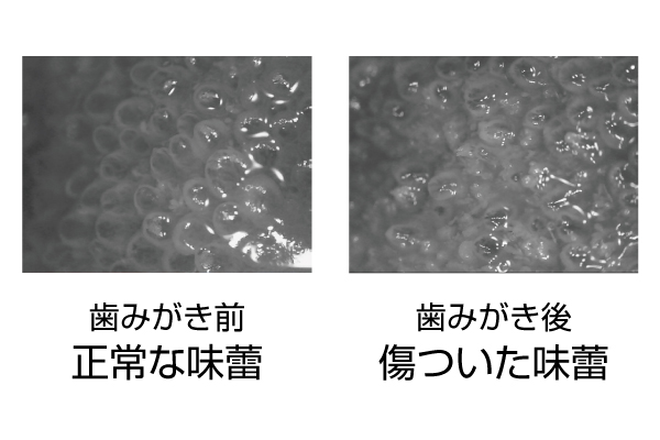 朝の歯磨きの 食後 Or 起きてすぐ のメリットデメリットとは モンモリロナイト化粧品 Kurumu Official Web Site